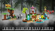 BMNS Animal Habitats - Agile small.jpg